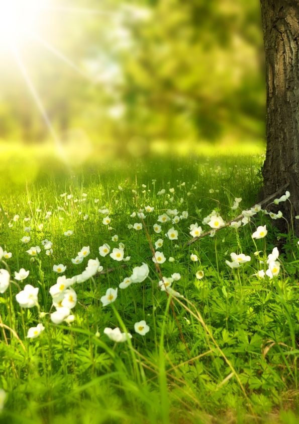 primavara geam termoizolant 4S