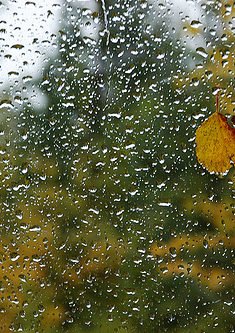 toamna geam termoizolant 4 seasson