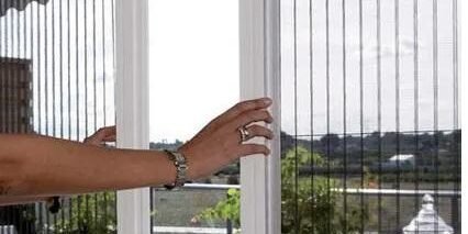 plase insecte plase insecte