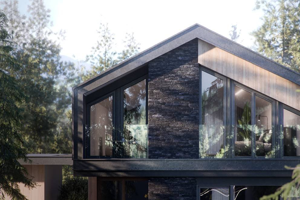 geam negru geam negru